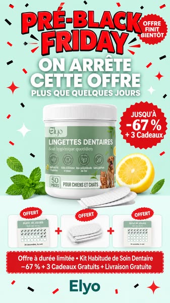 PRÉ-BLACK FRIDAY : 3 achetés + 3 OFFERTS