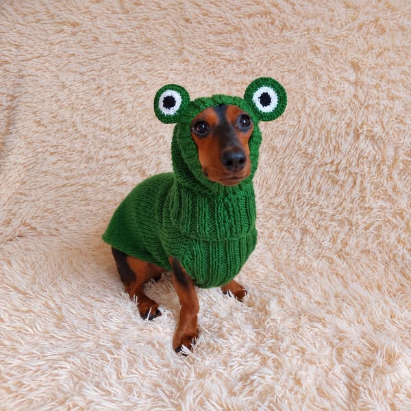 Turn Your Doxie Into a Cozy Little Creature