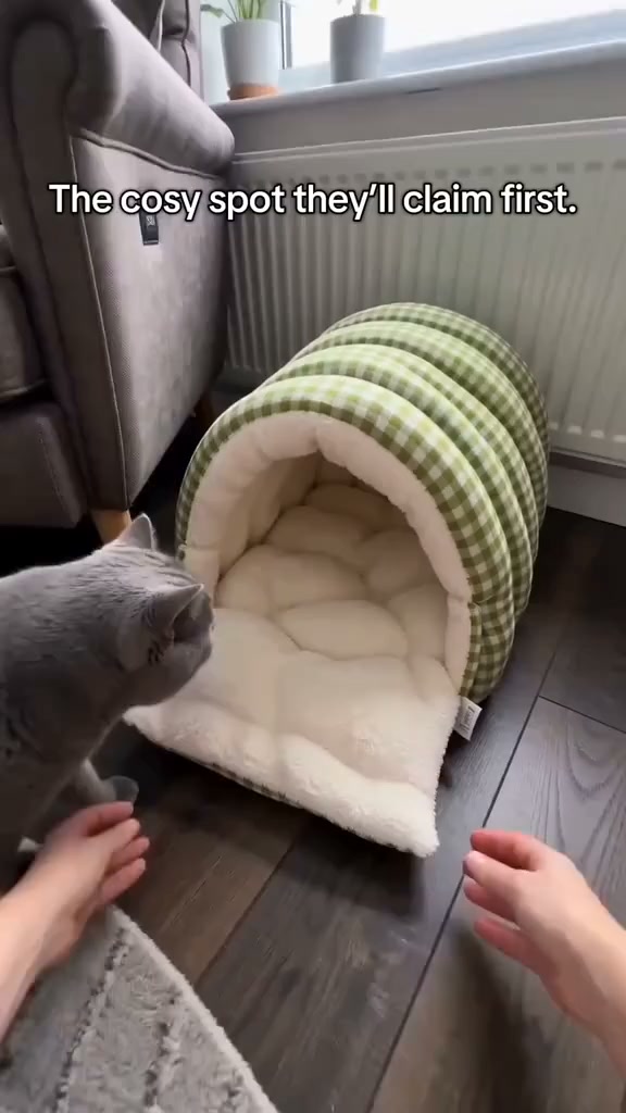 50% OFF — Your Cat's New Cozy Hideaway!