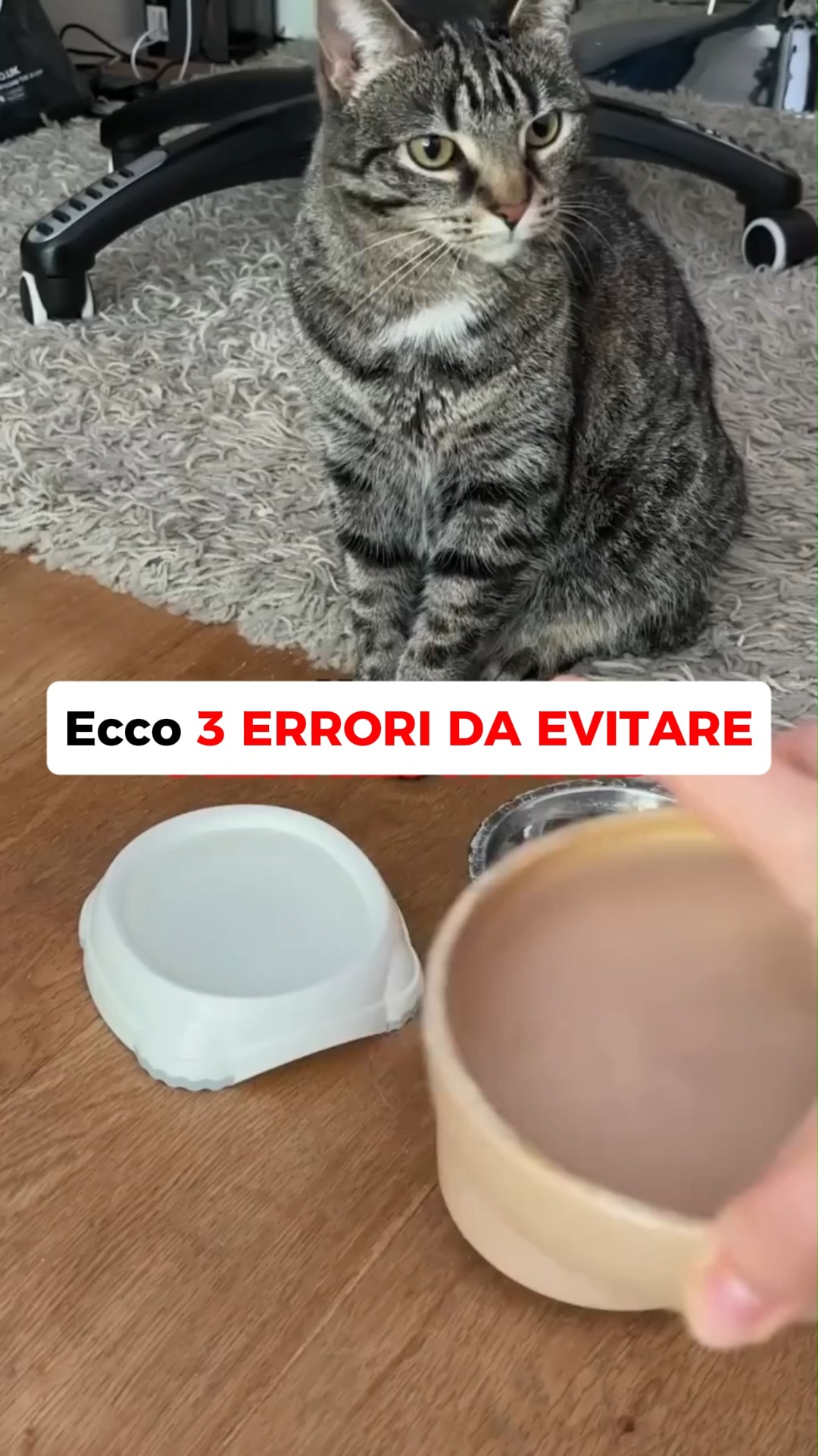Anúncio de VitaGatti