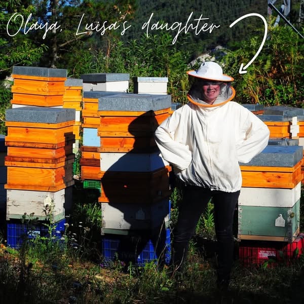 ‘Real Raw’ Honey From Artisan Beekeepers Without Needing To Travel
