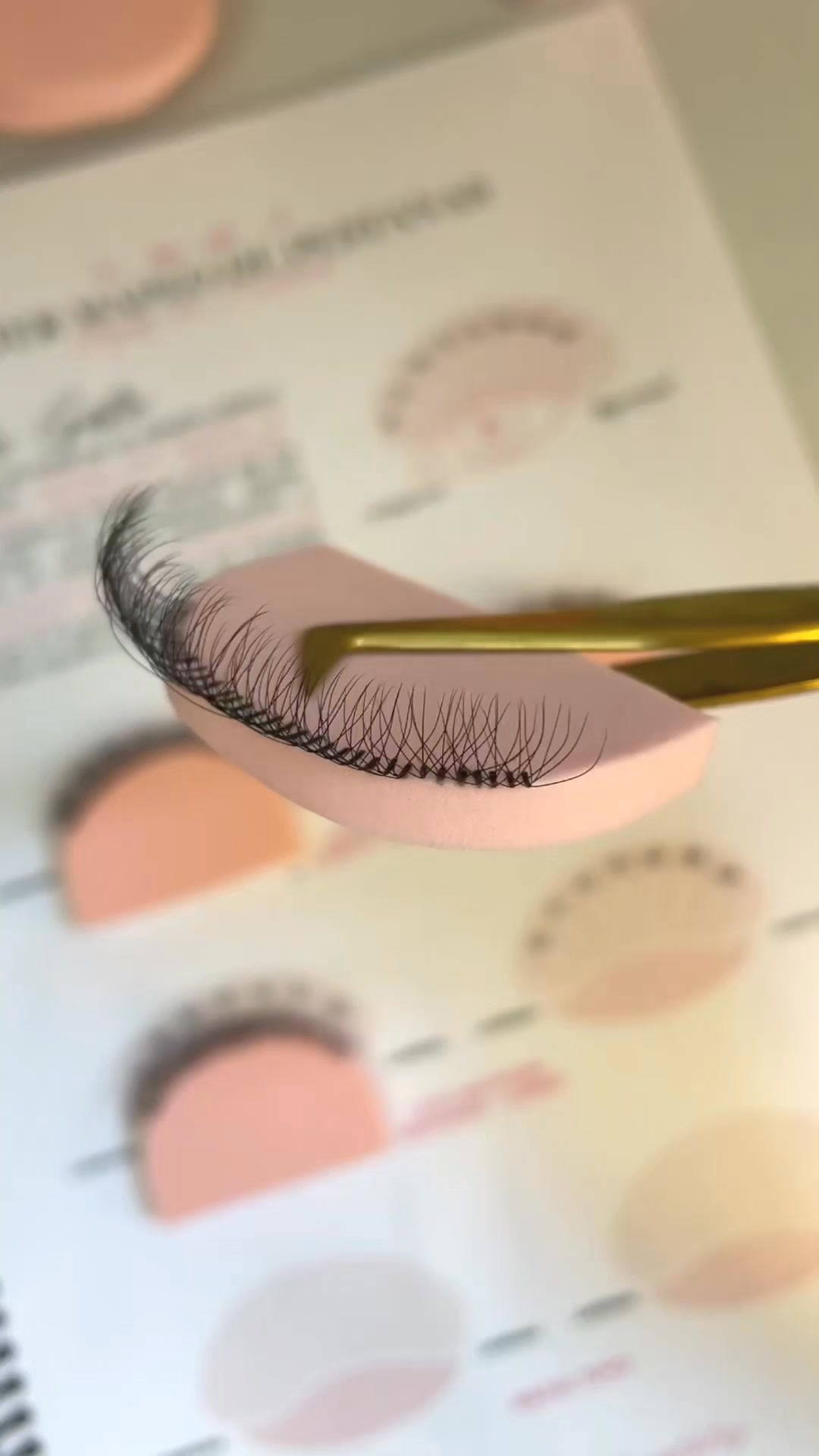 Stop Wasting Money on Expensive Lash Courses!
