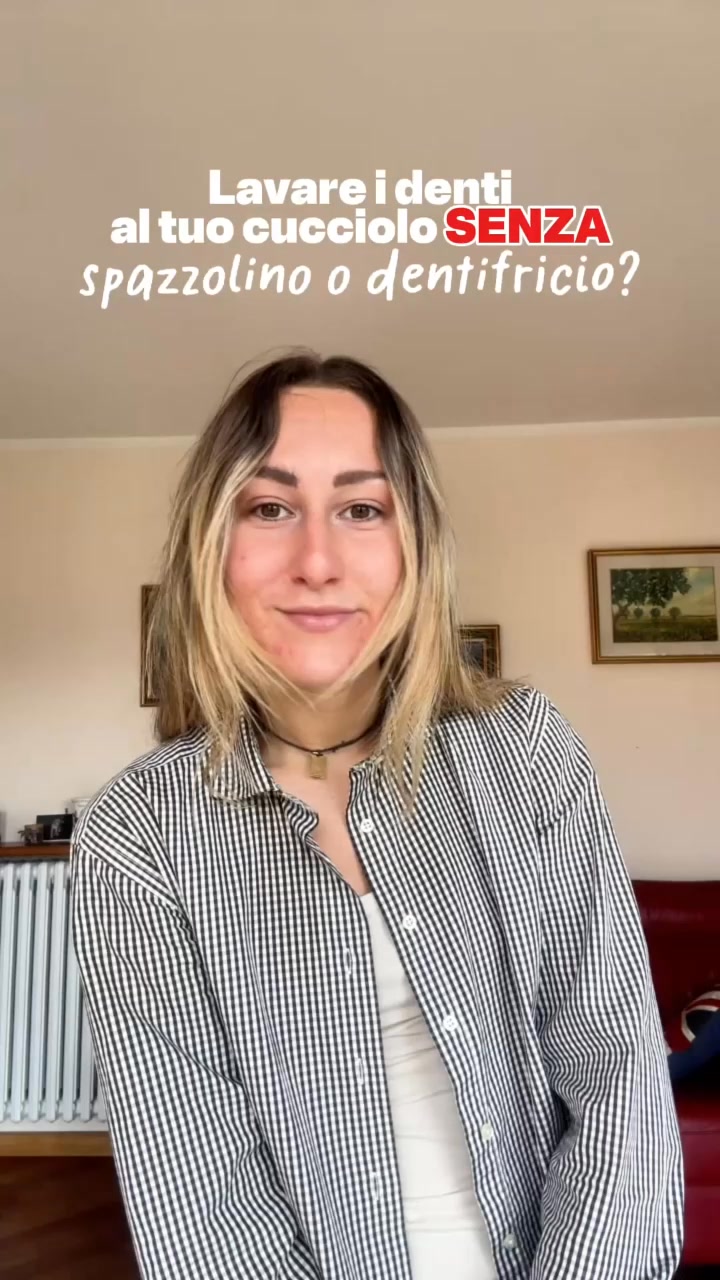 Cura denti e gengive del tuo pet