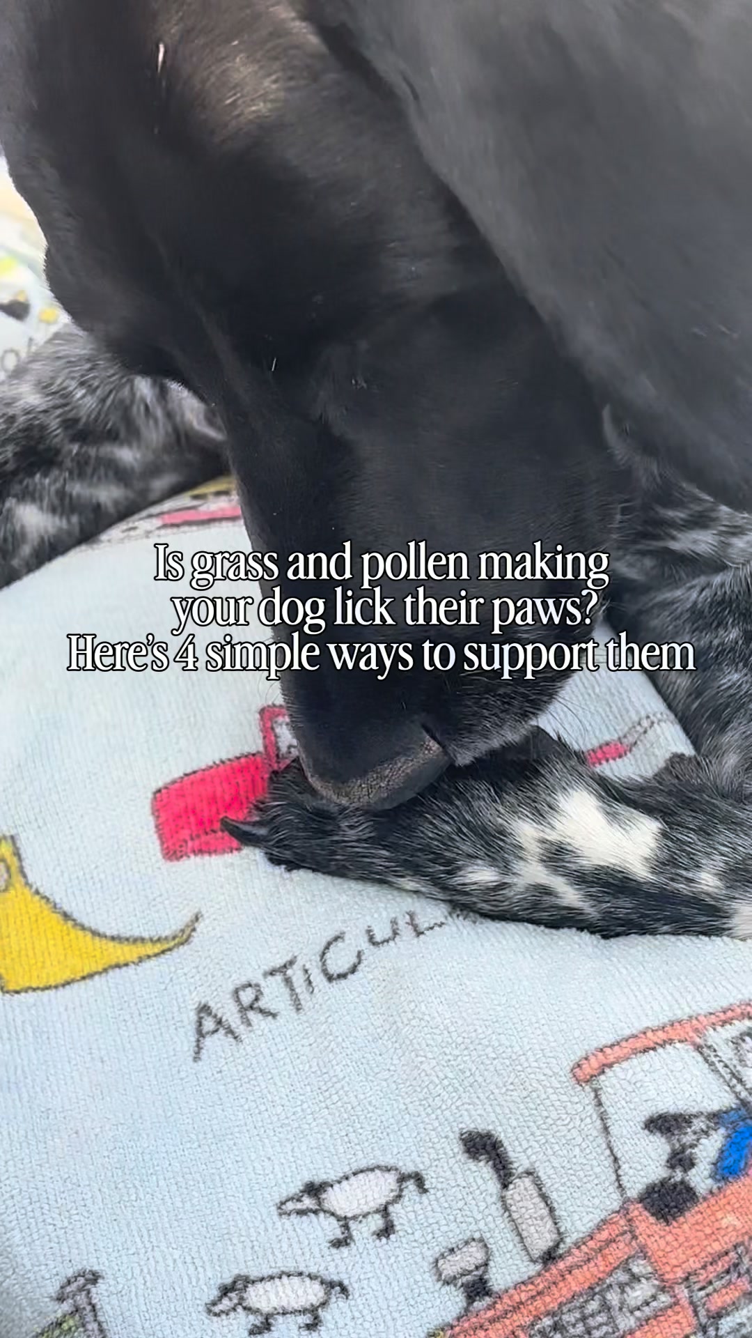 Canine Natural Cures