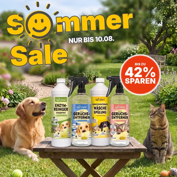 Sommer SALE - bis zu 42% sparen