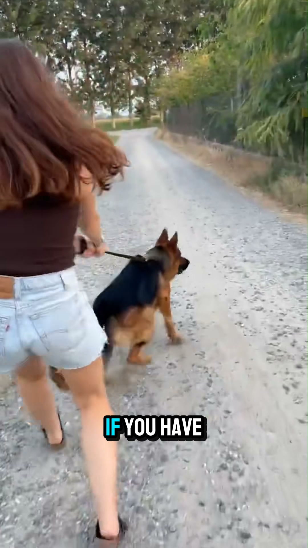 Finally, A Harness That Makes Walks Easier