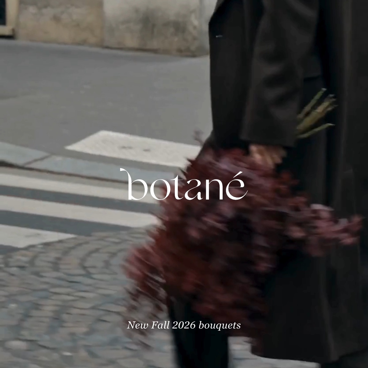 Botanical Design from Botané