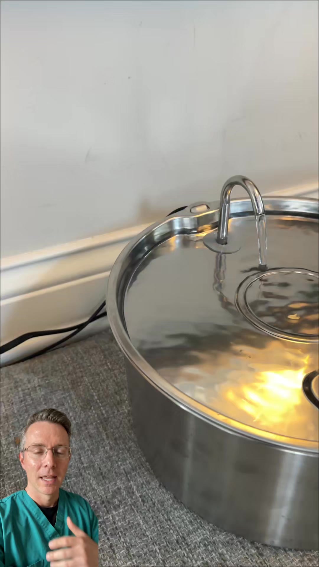 46,000+ Dog Parents Switched to This Fountain