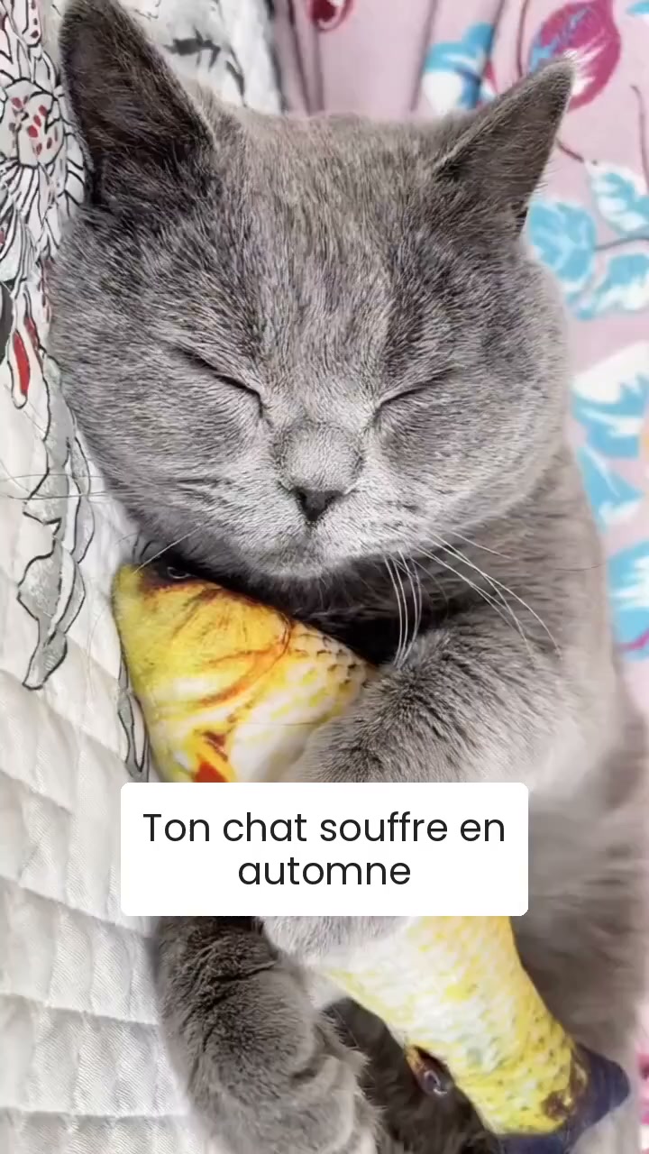 30 jours satisfait ou remboursé
