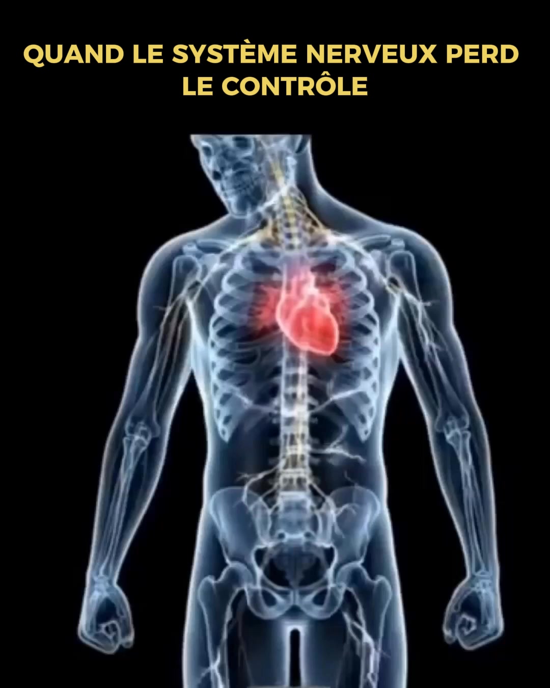 Pourquoi Vertiges, Tachycardie et Reflux Commencent Souvent dans le Cou