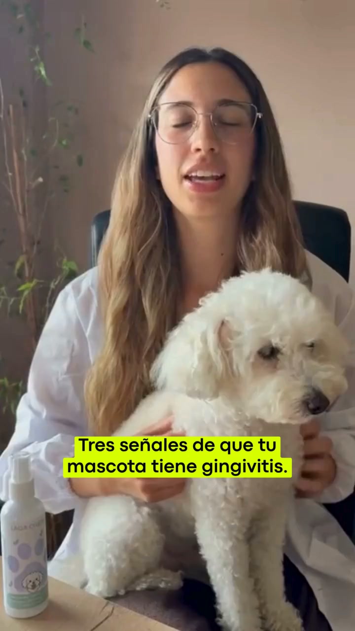 Envío Gratis. Entrega 24-72 horas