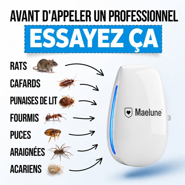 Dites enfin adieu aux punaises de lit