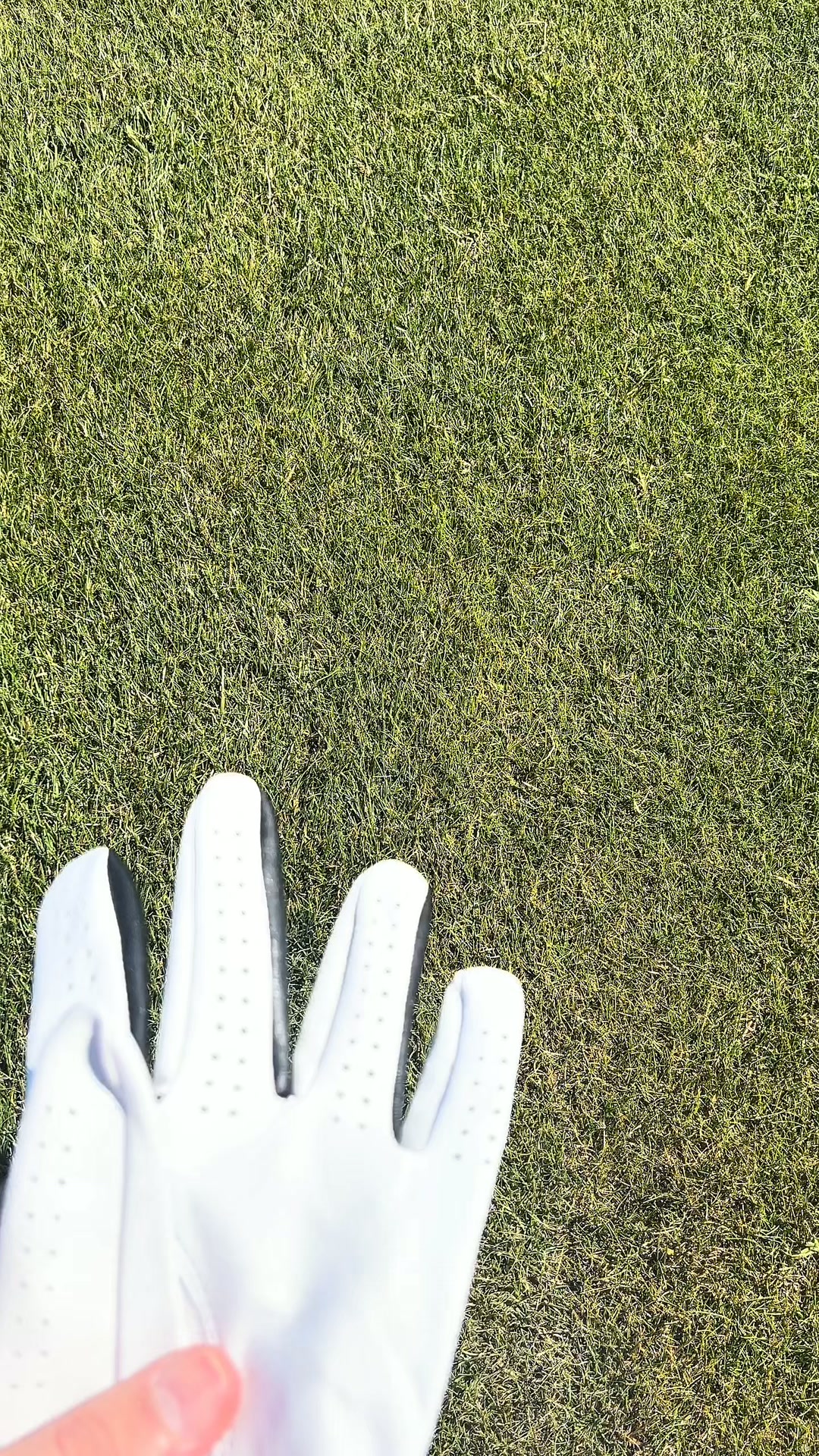 3 Gloves for £54