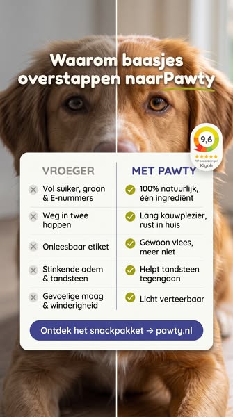 Meer dan 100 gezonde hondensnacks!