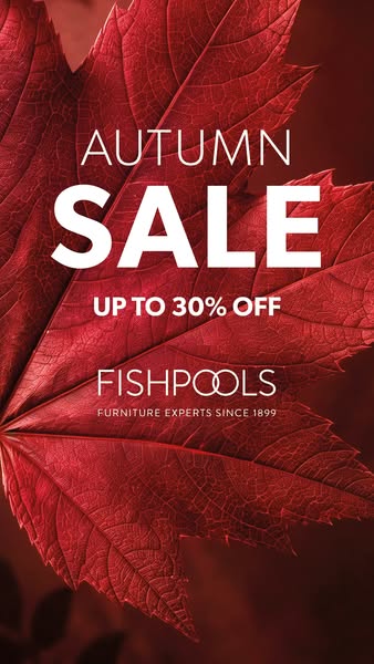 The Autumn Sale is NOW ON!