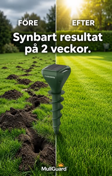 Inga fler jordhögar! GARANTERAT!