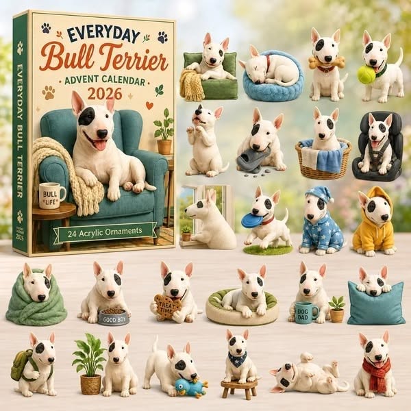 Everyday Bull Terrier Advent Calendar