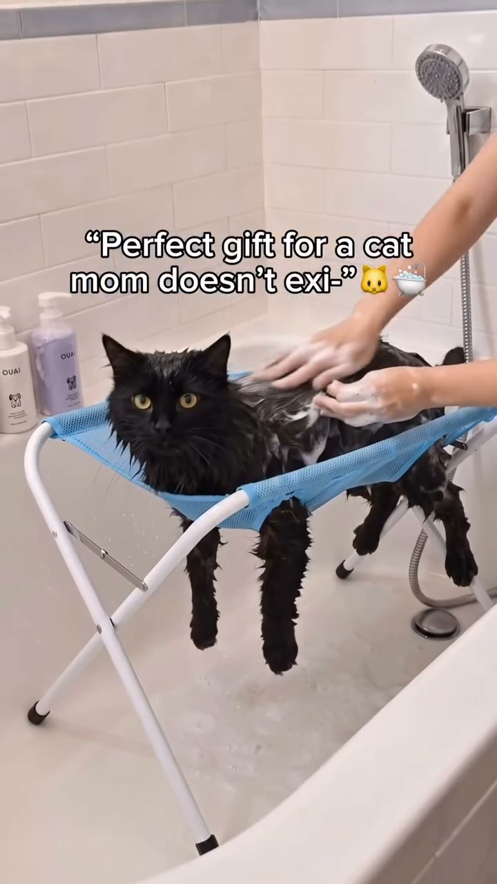 Bathing A Cat Doesn't Have To Be War