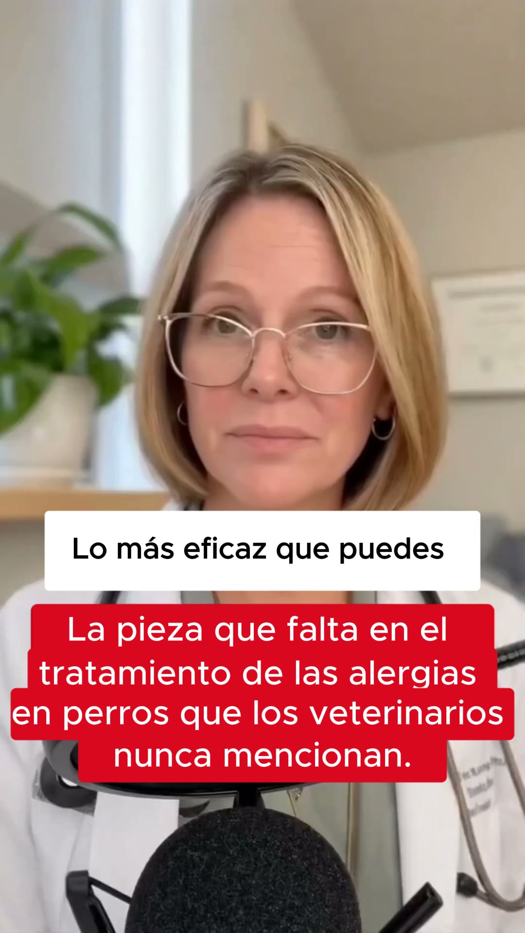 La pieza del puzzle que tu veterinario olvida.