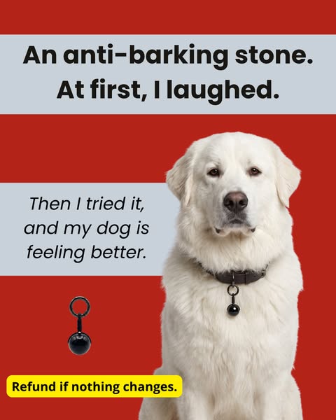 +1,000 Reviews · 4.7 Stars