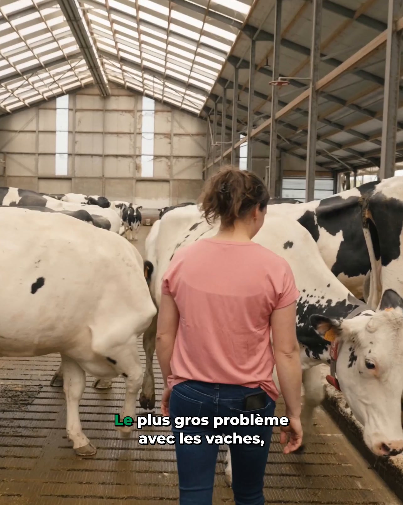 Traitez la maladie de Mortellaro