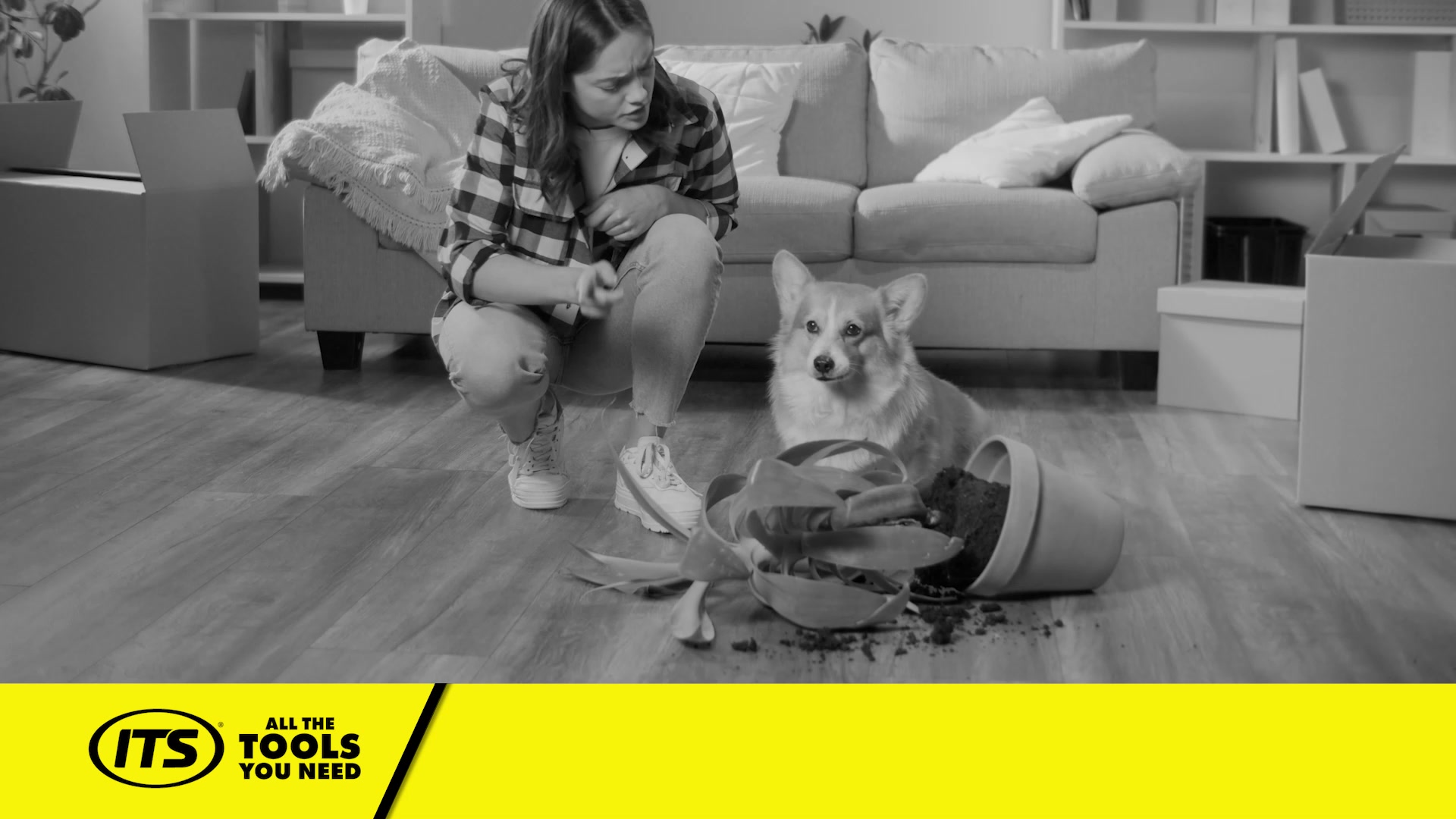 Get a FREE Ryobi ONE+ Vacuum!