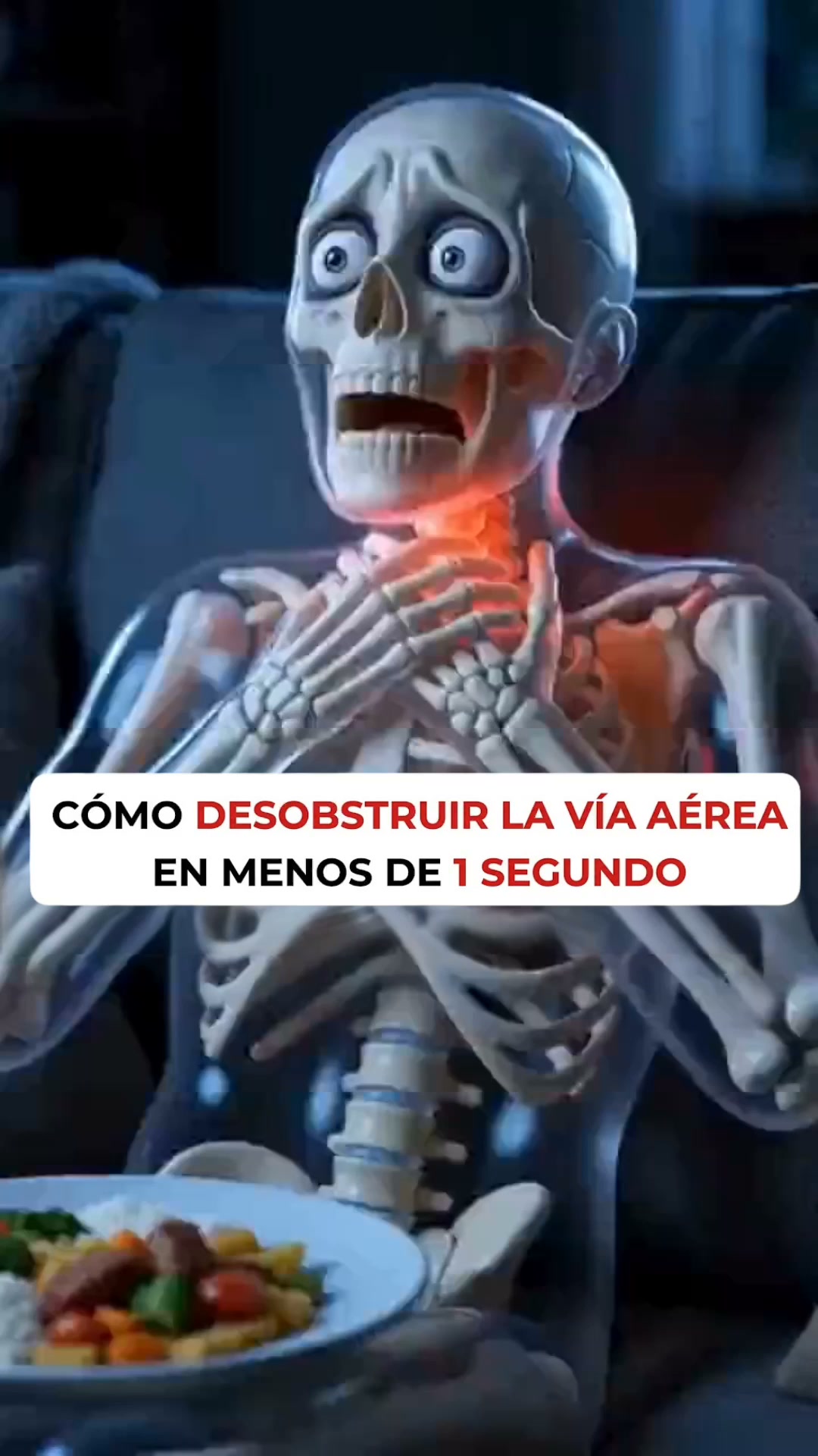 Oferta 50% por tiempo limitado + Regalo!