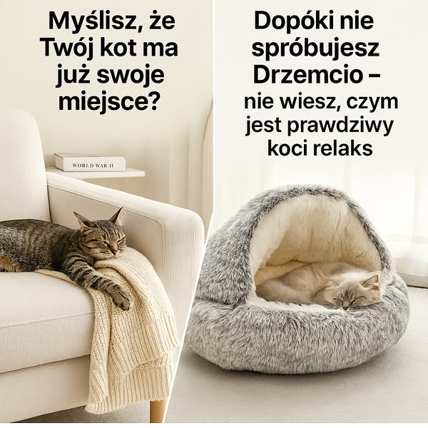 Tylko dziś: -50% i darmowa dostawa!