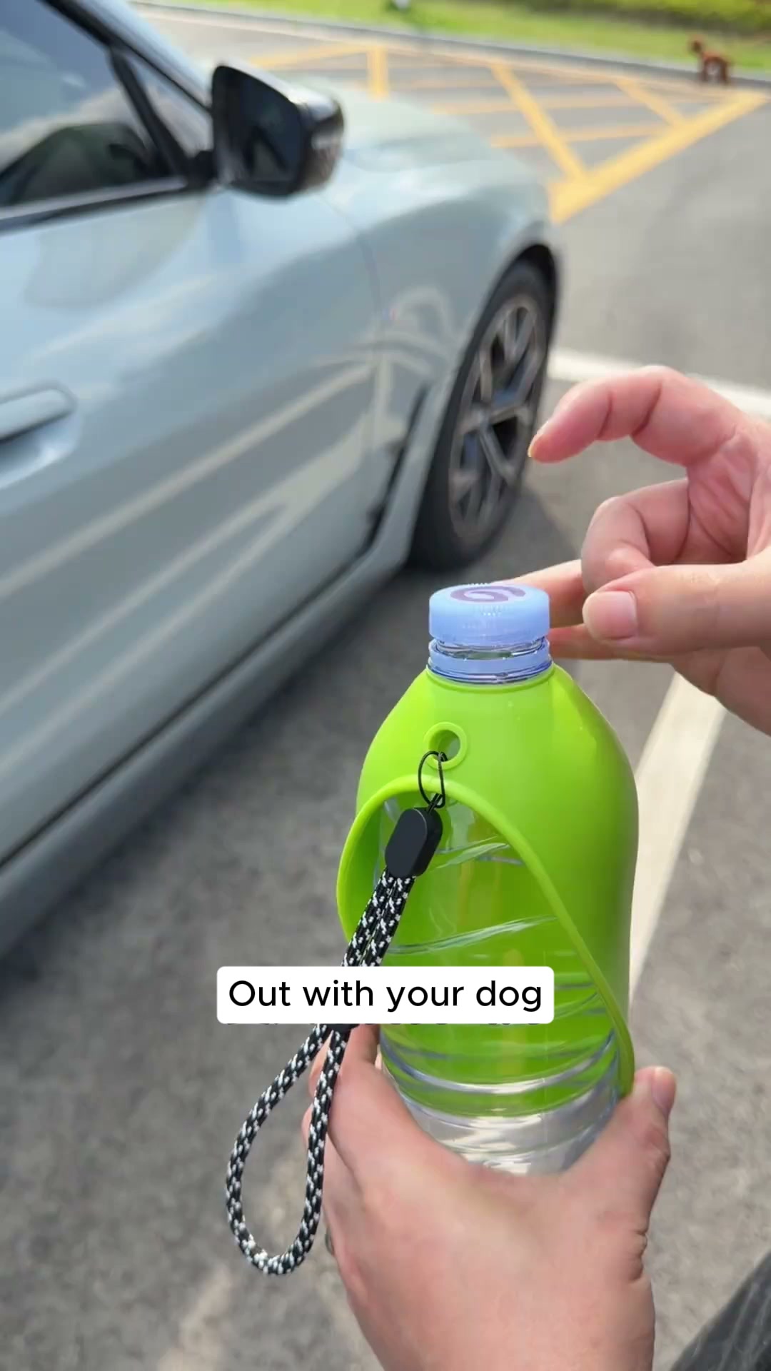 Hydration On The Go For Your Pup