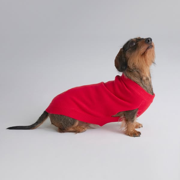 Manchester United Knitted Dog Jumper Red