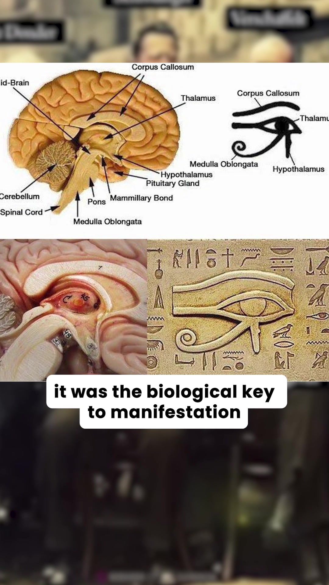 Clear Your Pineal Gland Naturally