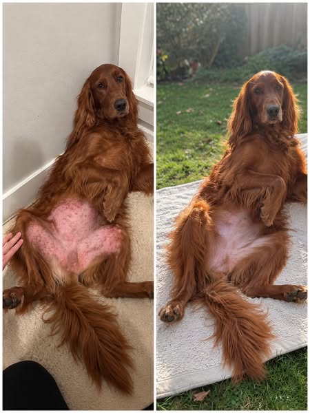 A little bath habit that kept him scratching