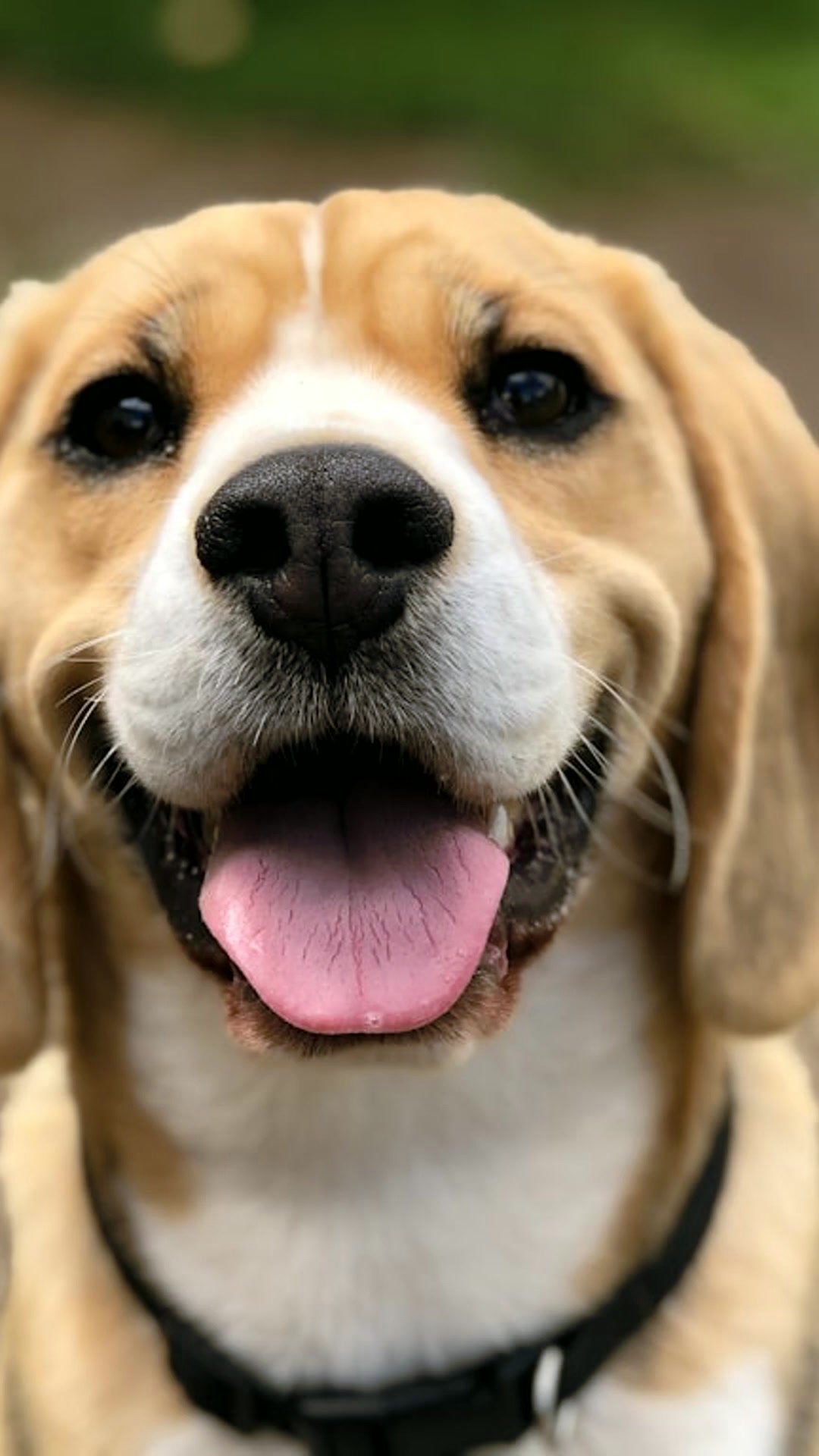 Su mirada, siempre contigo.