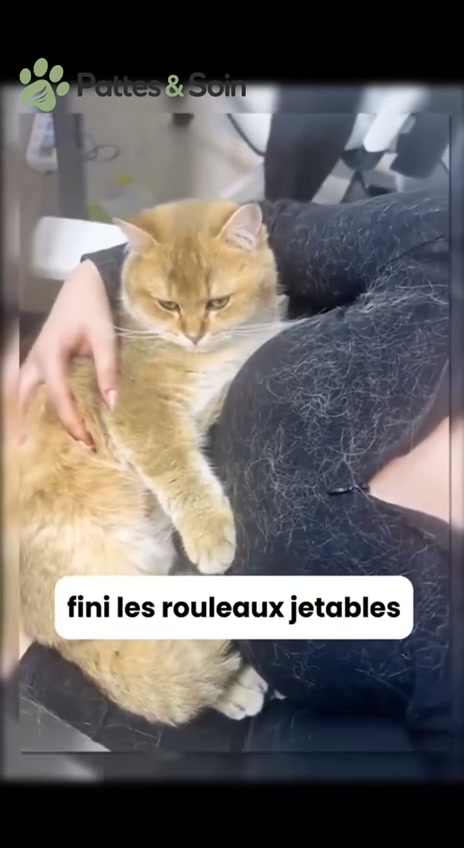 Plus besoin d’aspirateur ou de rouleaux !