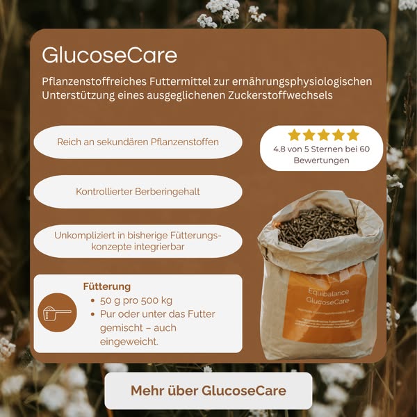 Jetzt den Unterschied entdecken