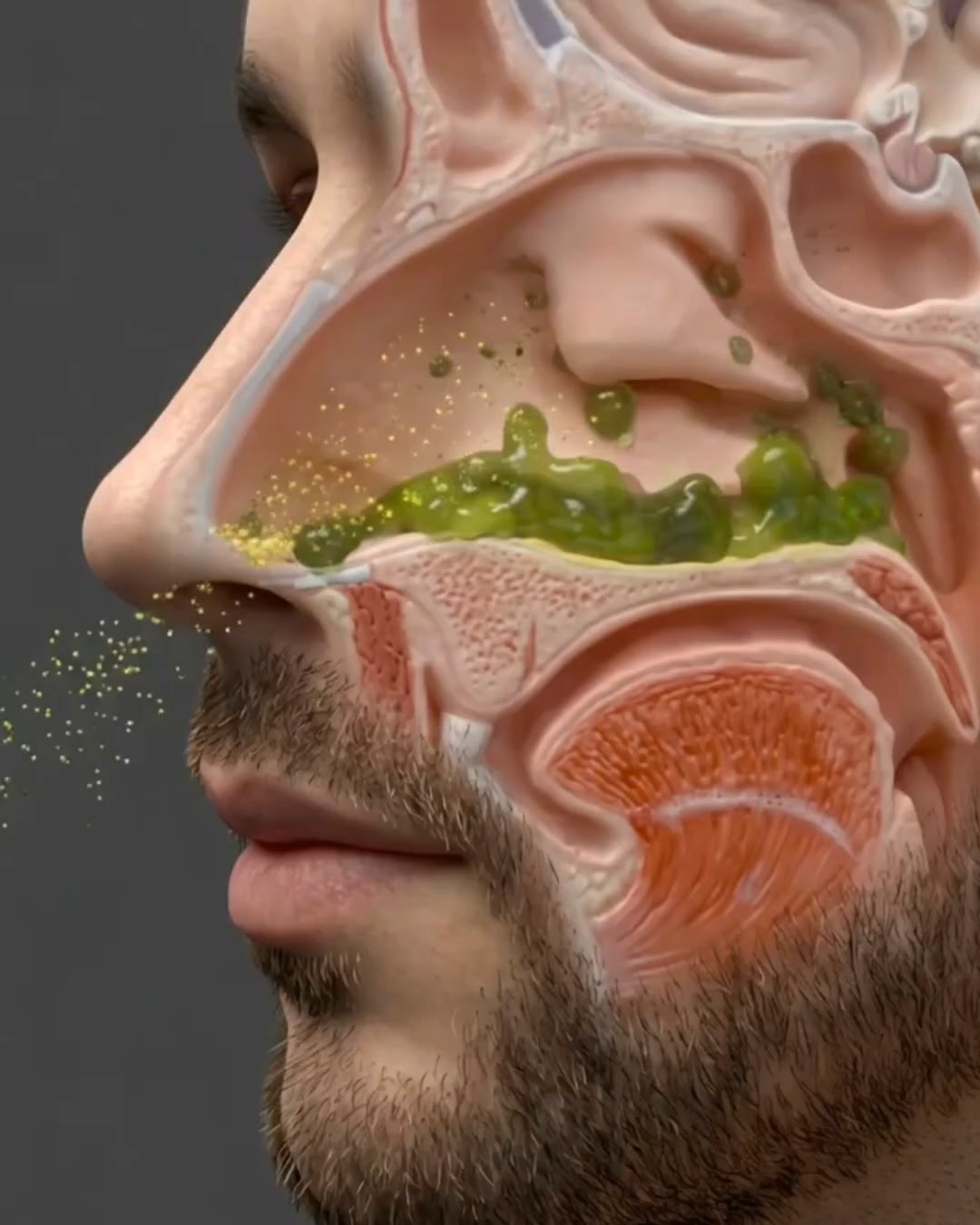 Breathe Clearly in 30 Seconds