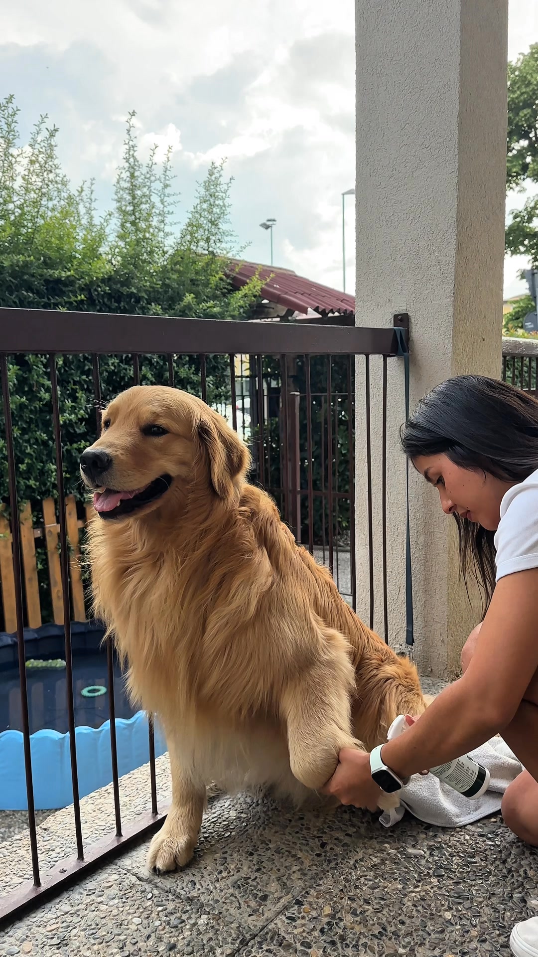 Zampe pulite, cane felice