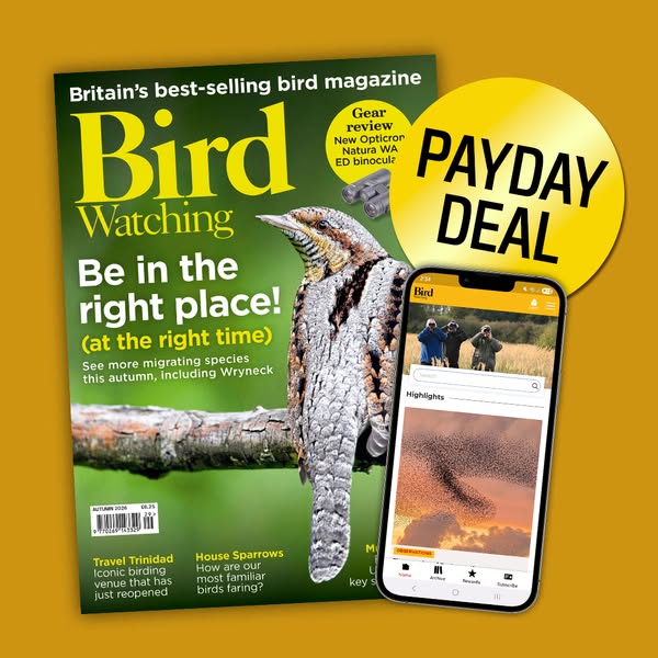 Payday Special: Print + Digital