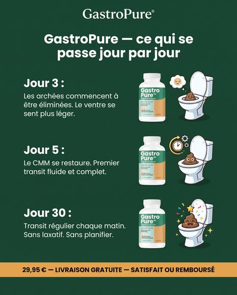 Votre intestin n'est peut-être pas « paresseux »… il pourrait simplement avoir perdu son rythme
