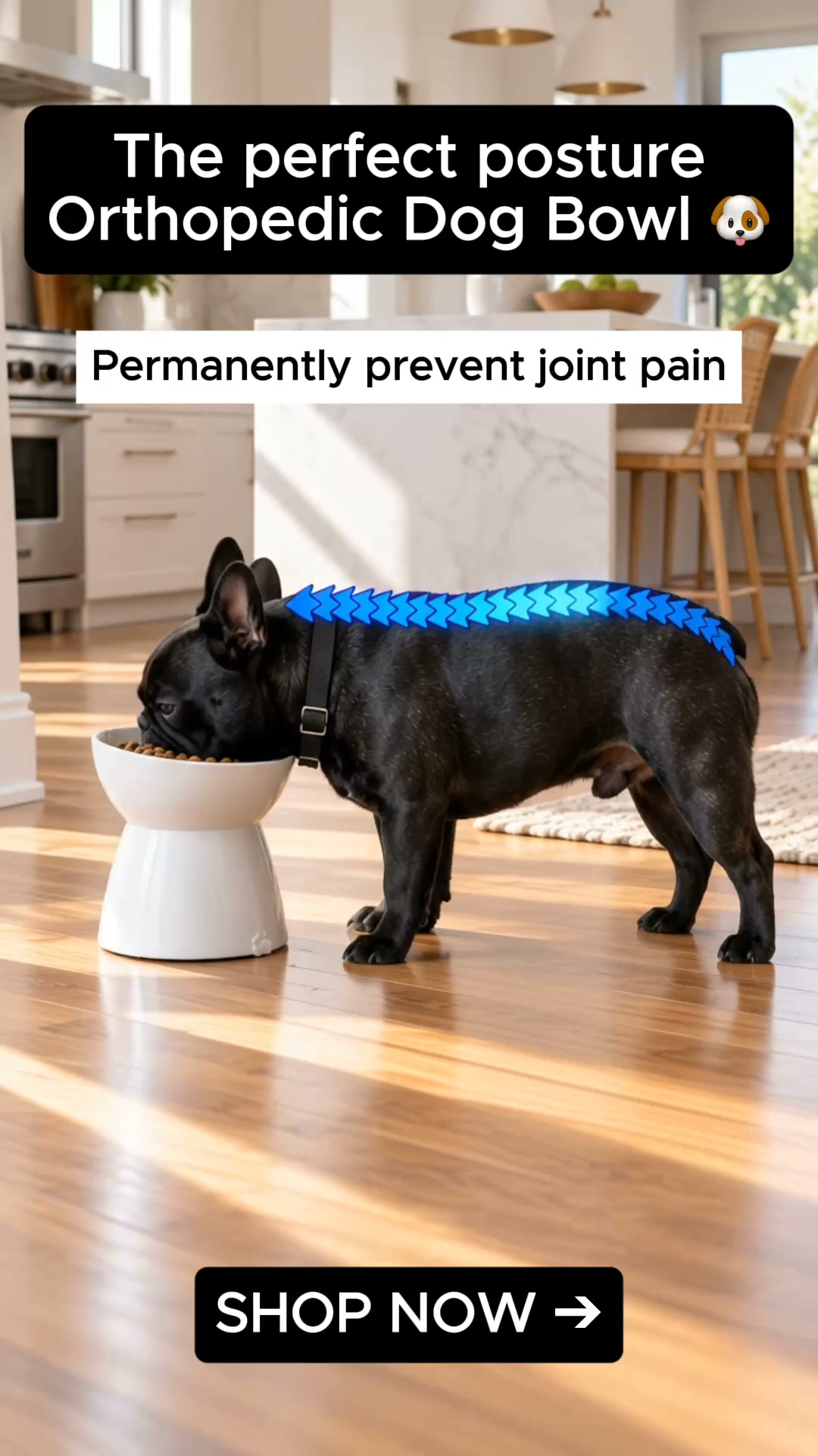 Orthopedic Bowl
