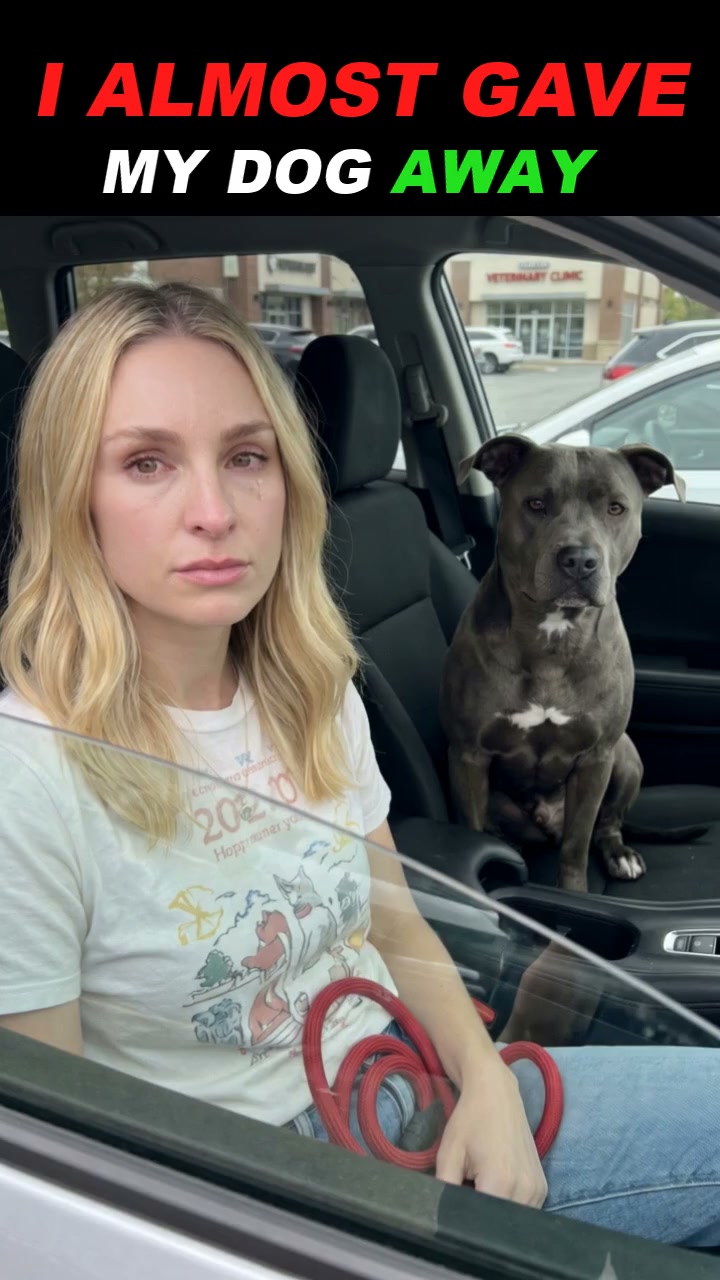 Fourteen months. $4,922. Same dog.