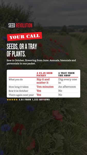 British Native Wildflowers