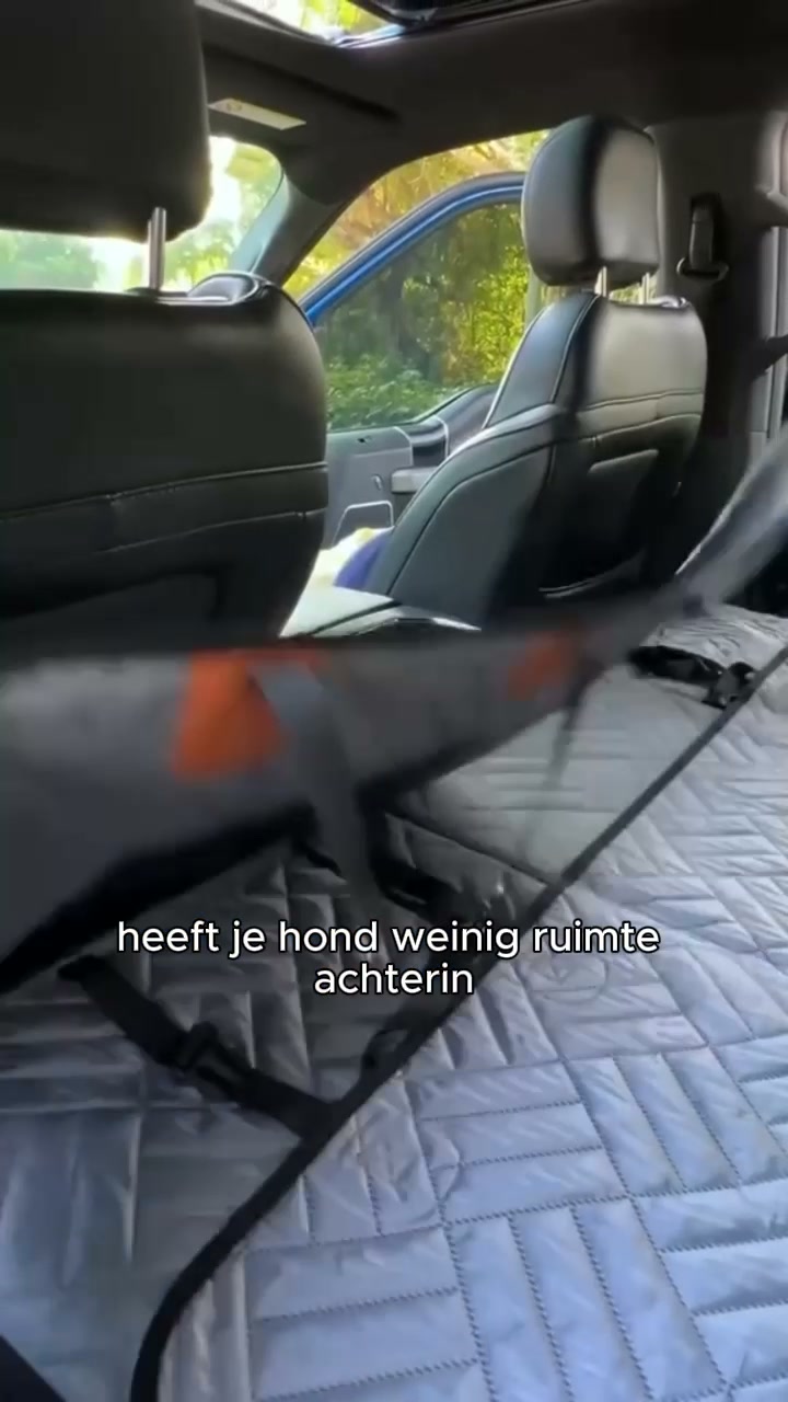 Te weinig ruimte op de achterbank?
