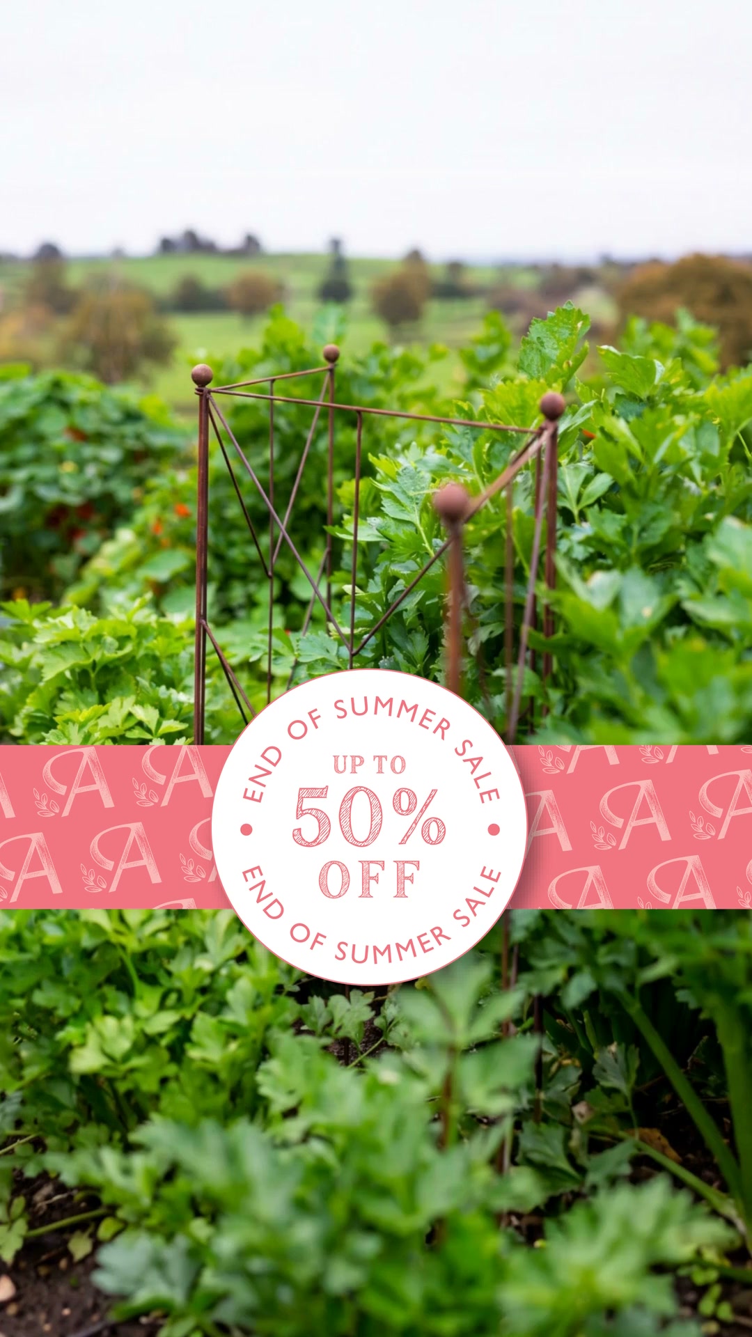 Up To 50% Off Metal Garden Structures