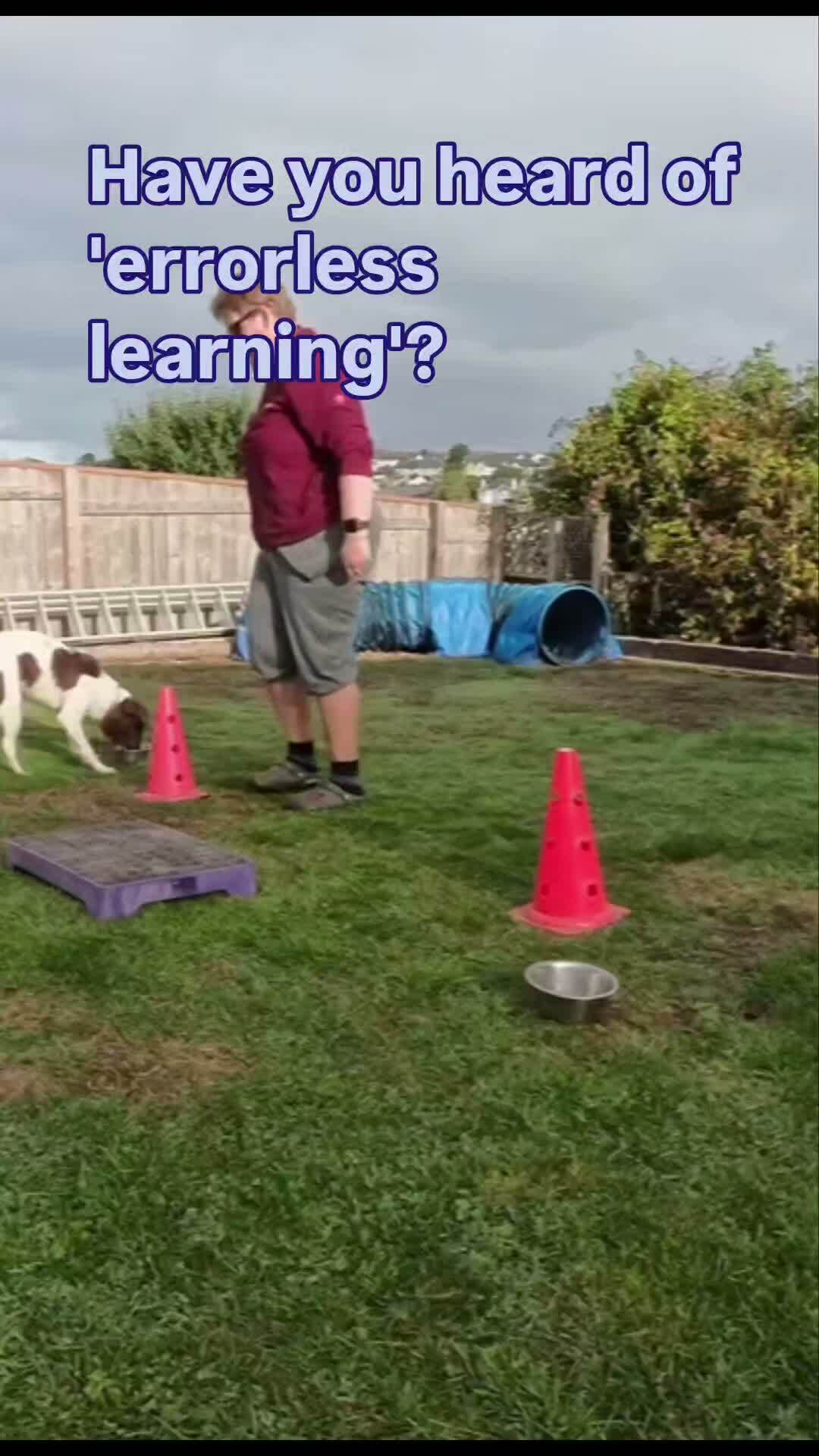 The skill every agility handler needs but nobody practises on course