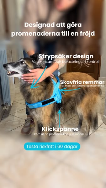 Hundsele med antidrag