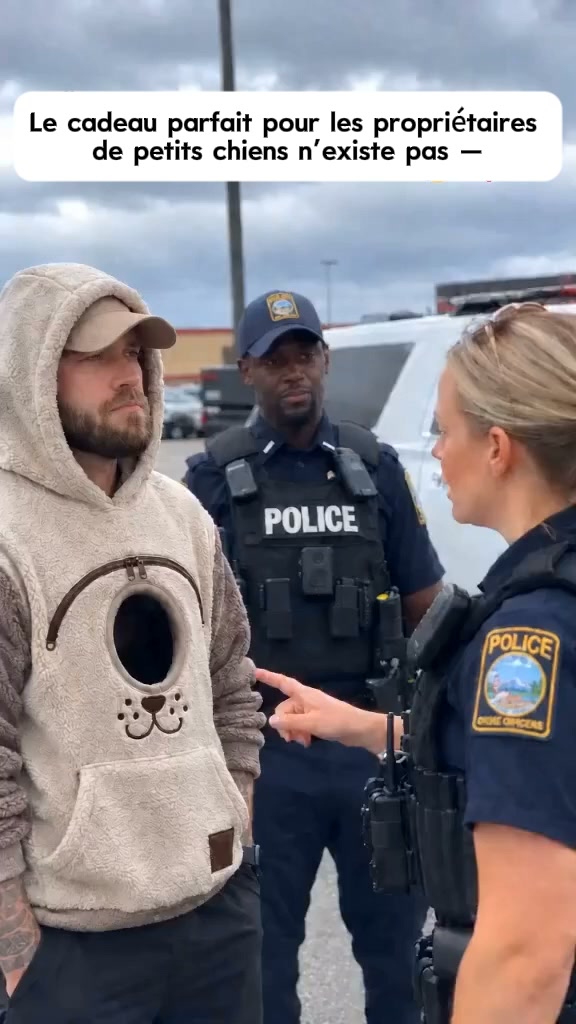 Livraison gratuite Sweat à capuche douillet pour animaux – avec poche intégrée pour chats et petits chiens