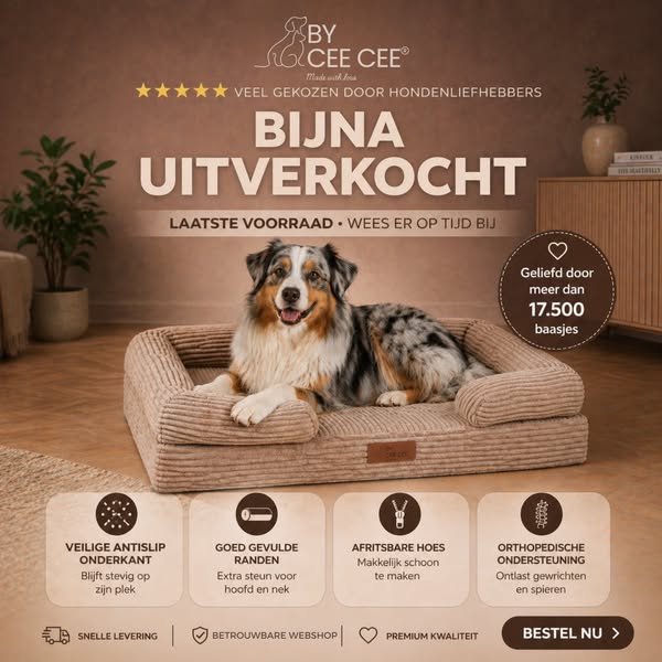 Dé orthopedische hondenmand die elke hondenbaas wilt