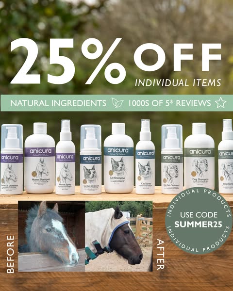 End Of Summer Sale Is HERE