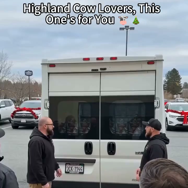 24 Days of Highland Cow Magic